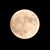Diana Maurer Schatz's profile image