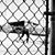 Luke Mewbourn's profile image
