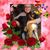 Michaelle Paquette Suggs's profile image