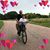 Lori Studer's profile image