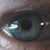 Dave Moser's profile image