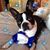 Laura Becker Craig's profile image