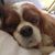 Renata Drumond's profile image