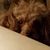 Karen Lovins's profile image