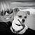 Elaine Belshe's profile image