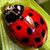 Amy Gilland's profile image