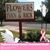 Ivans Flowers's profile image