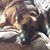 Cindy Bergren Bloomquist's profile image