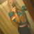 Shari Grossman's profile image