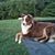 Peggy Shelton's profile image