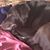 Carolyn Davis Burbage's profile image