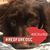 Shelley Hayes Matthews's profile image