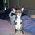 Harley Oswell's profile image