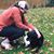 Katie Searle's profile image