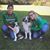 Rachel Toohey's profile image