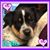 Michelle Green's profile image