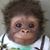 Jennifer Wewer's profile image