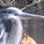 Nhoj Derbliks's profile image