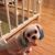 Linda Sur's profile image