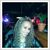 Rena Wallace's profile image