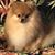 Pam Stephens's profile image