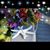 Lynda Bryfogle-Bisbing's profile image