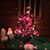 Karen Buck's profile image