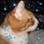 Pamela Beasley's profile image
