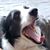 Roni Rowell's profile image