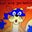 Swiper No swiping's profile image