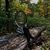 Tracy Stanek's profile image