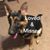 Darryl Dufrene's profile image