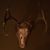 Kevin Davis's profile image