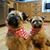 Tammy Galyen Carpenter's profile image