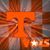 Donna Messer's profile image