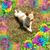 Cindy Baldwin Manuel's profile image