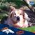 Penny Sue's profile image