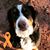 Katherine Haywood Kasparaitis's profile image