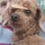 Fran Wozniak's profile image