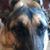 Louisa Harr's profile image