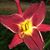 Trish McCash's profile image