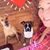 Corie Morris's profile image