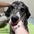 Denise Beneke Schulz Liscom's profile image