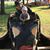 Dave Reid's profile image