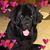Rhonda Green's profile image