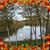 Camille Kutis-Coller's profile image