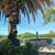 Susan M Hett's profile image