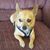 Donna Jernigan Johnson's profile image
