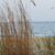 Tammy Schwartztrauber-Parrott's profile image
