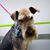 Barbara Wilson McFarland's profile image